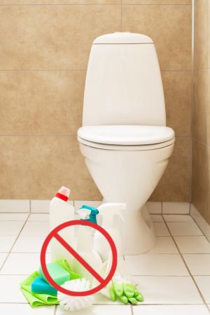 Brosse WC Usage Unique Écologique +Chiffon Magique offert